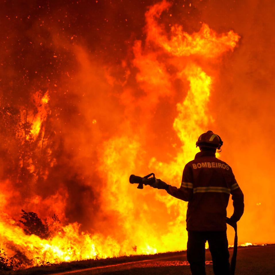 Portugal wildfires